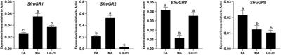 Candidate chemosensory receptors in the antennae and maxillae of Spodoptera frugiperda (J. E. Smith) larvae